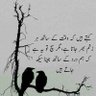 آواز حق's profile picture