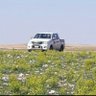 ابويزن العنزي 的头像