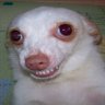 ToodleMcDoodle's profile picture
