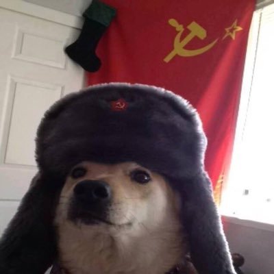 shunzha08566016's profile picture