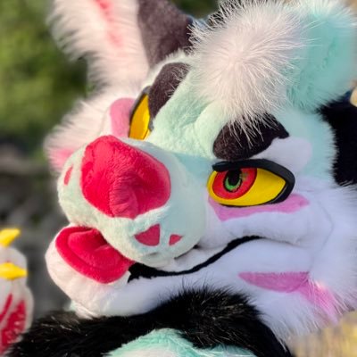 CoyotesCalling ➡️AC2025's profile picture