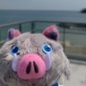 Donちゃん 的头像
