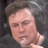 Profilbild von Elon Muskatel
