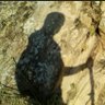 VictorD profil fotoğrafı