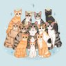 Pawtheninjacat profil fotoğrafı