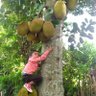 Krishna Krish's profile picture