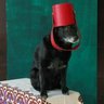 D. Juan369's profile picture