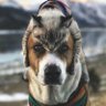 Deacon Drake's profile picture