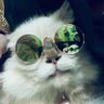 Profilbild von xyznoodle