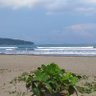 Hendra_Budiantoro profil fotoğrafı