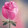 سامي فهد 的头像