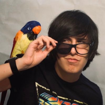 Missa Sinfonia's profile picture