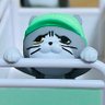 このちゃ's profile picture