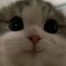Profilbild von 𝓡𝓸𝓼é 𝓦𝓸𝓻𝓵𝓭 𝓓𝓸𝓶𝓲𝓷𝓪𝓽𝓲𝓸𝓷