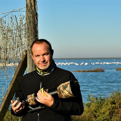 carlos romero Photography - Wildlife Photographer's profile picture