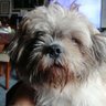 Profilbild von Alambique