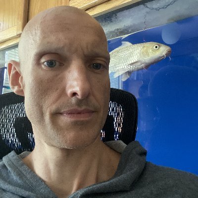 David Ullrich's profile picture