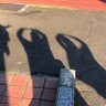 葉子 profil fotoğrafı