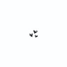 وجدان🍃's profile picture