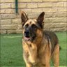 Fletch profil fotoğrafı