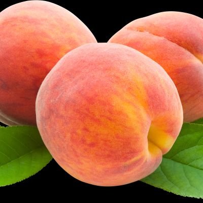 KagePorn's profile picture