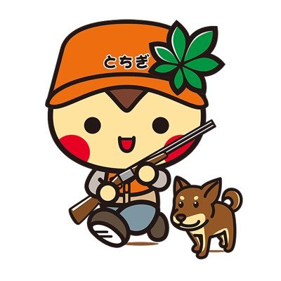 tochigirifle's profile picture