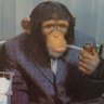 CHUNKS2675's profile picture