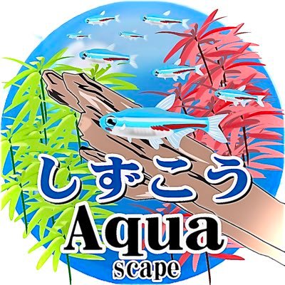 しずこう's profile picture