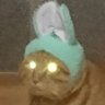 Фото профиля 冬眠しないクマ🎣🐧⚡🐱🥟