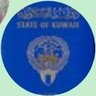 Hanadi Alhamadi🇰🇼🇵🇸's profile picture