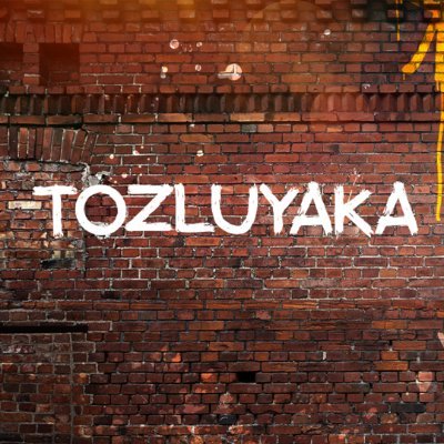tozluyakafox's profile picture