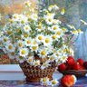 Людмила Тимощук profil fotoğrafı