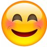 noma's profile picture