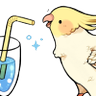 Raven 的头像