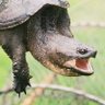 Emmanuel Blasé's profile picture