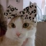 Thomas Marks's profile picture