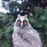 Kontrrewolucjonista's profile picture