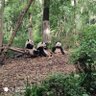 4B橡皮 的头像