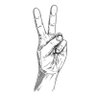 Profilbild von Hold Up Your Hands