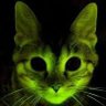 KucingHijau™ profil fotoğrafı