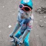Profilbild von raphlry
