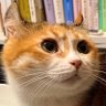 海衣 profil fotoğrafı
