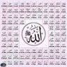 LaİllaheİllahMuhammedurRasulüllah 的头像