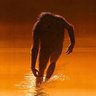 Profilbild von Solas