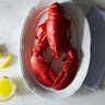 Chaotic_Lobster 的头像