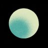 fgxs168188's profile picture