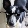 gravedweller's profile picture