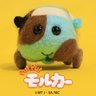 Profilbild von かむめ議員