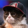 Фото профиля Grumpy Larry