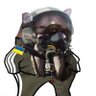 French war analyst's profile picture